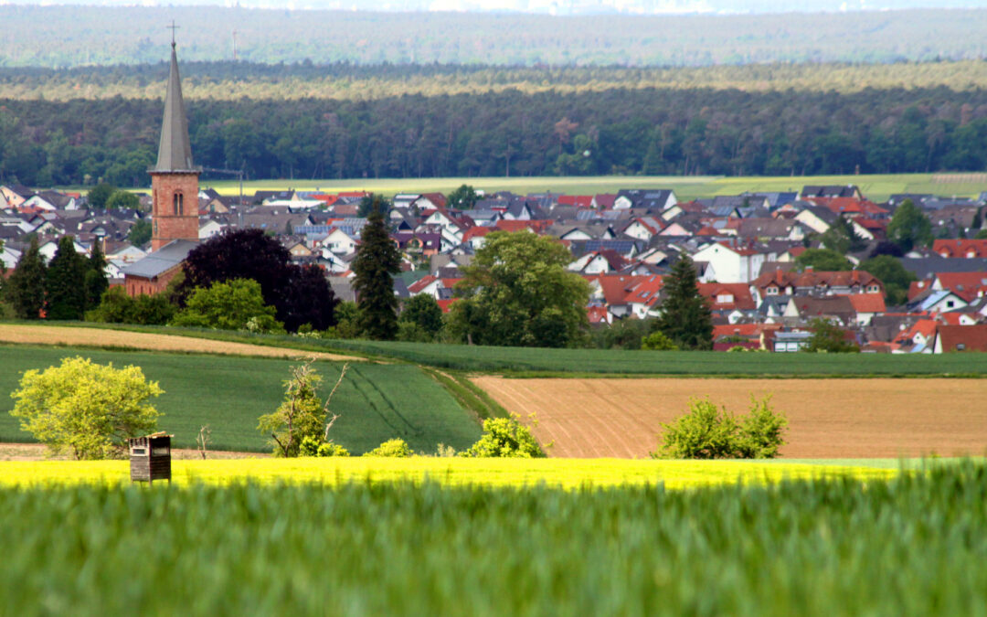 Grün sucht&nbsp;dich!