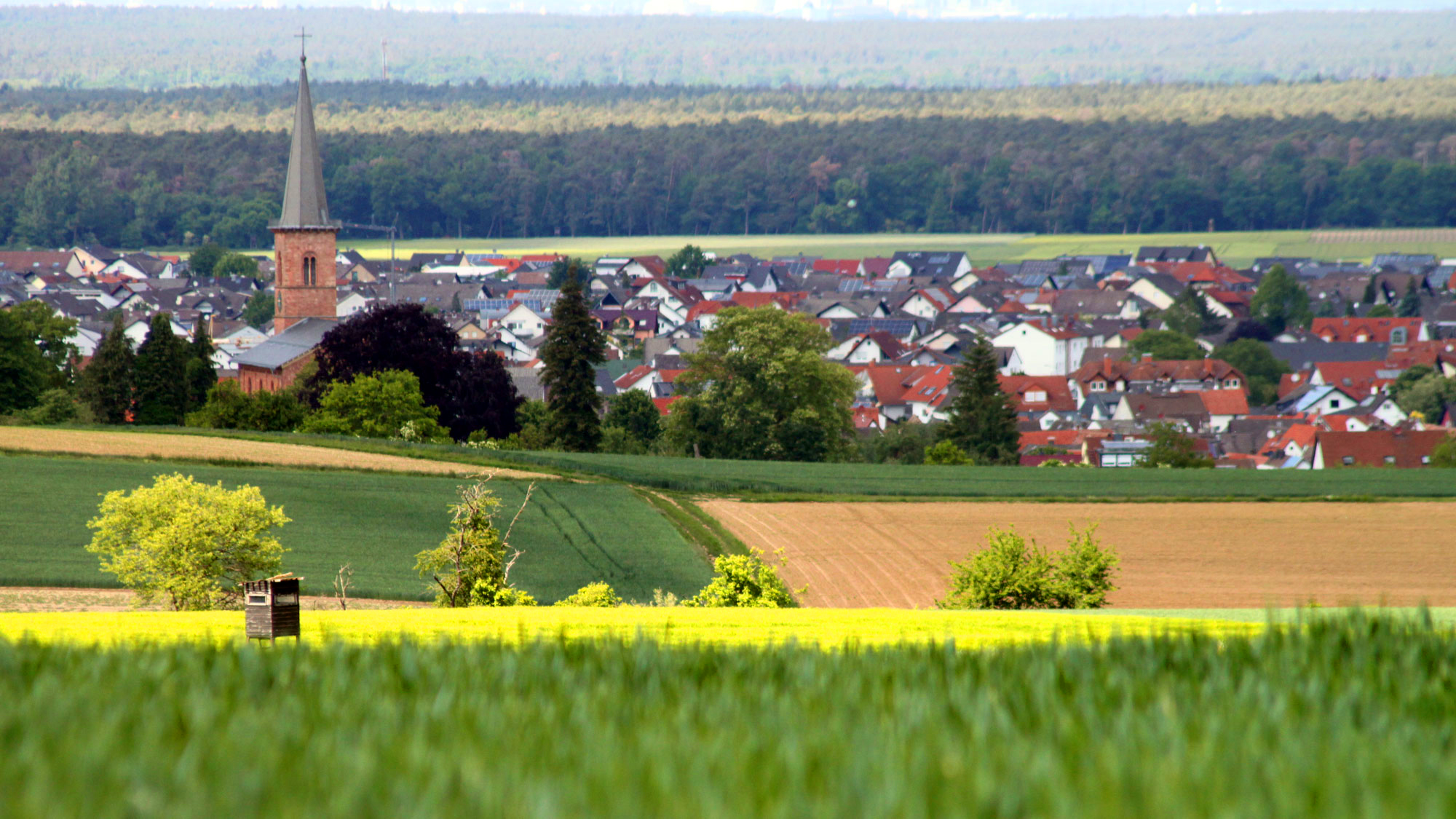 Schaafheim-Kirche-IMG_4396