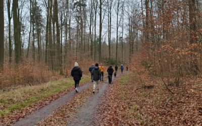 Waldbegehung mit Revierförster Bernd Werne im Januar 2022