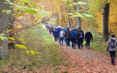 Herbst­li­cher Wald­rund­gang mit span­nenden Informationen