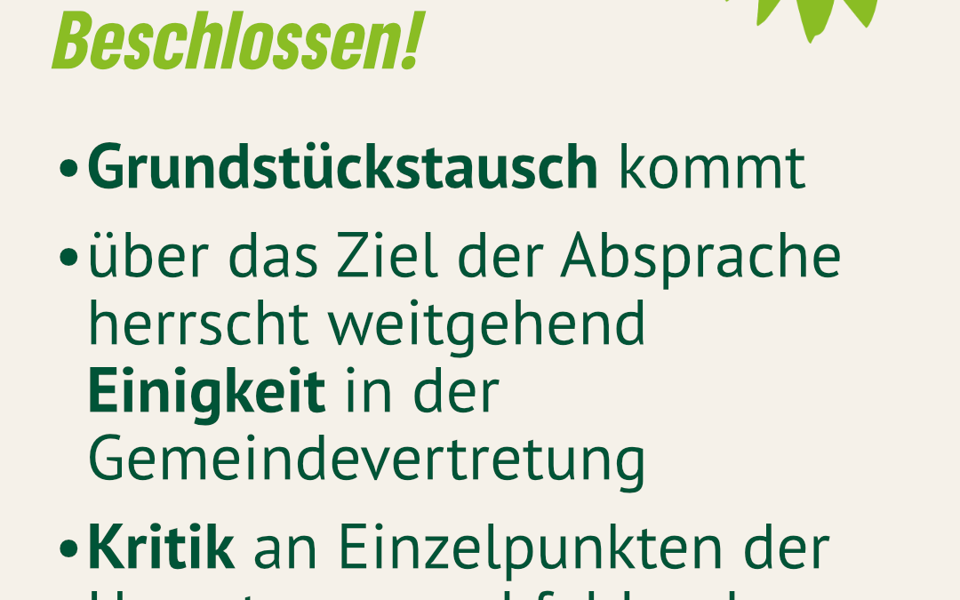 Gemein­de­ver­tre­tung zum Thema Sandabbau (25.2.2025)