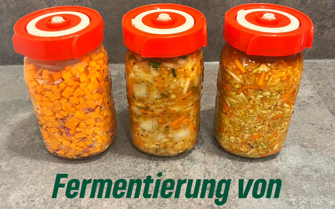 FERMENTATION SENSATION