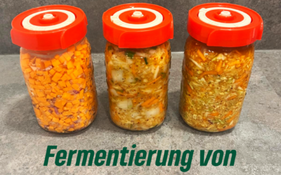 FERMENTATION SENSATION