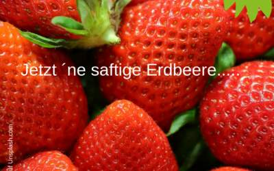 Erdbeeren im April?