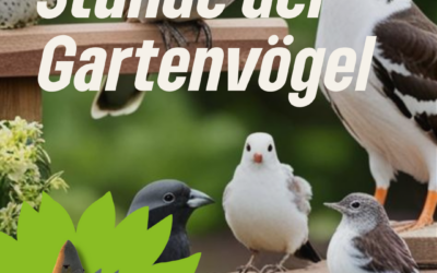 Stunde der Gartenvögel