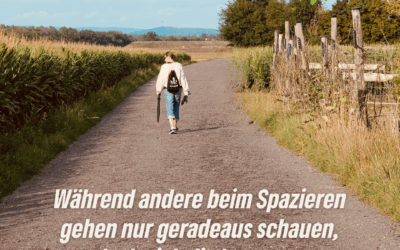 Eine Schne­cken-Story Teil 1